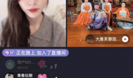 91梦想家直播,揭秘直播背后的梦想与激情